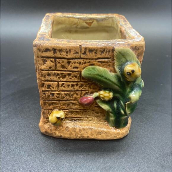 Small Square majolica Planter two cute frog  and plant on wall 
Succulent - Picture 1 of 8